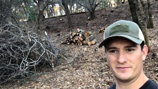 Tree & Brush Removal Time Lapse