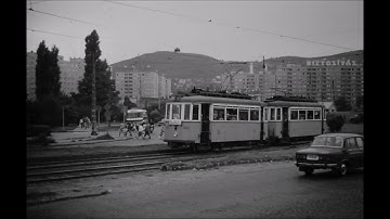 LEO WEINER. STRING QUARTET IN E FLAT MAJOR Nº1 OP4