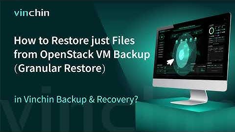 How to Restore just Files from OpenStack VM Backup (Granular Restore) in Vinchin Backup & Recovery?