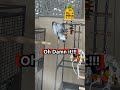 funny and cute birds #funny #petsunited #funnybirds #birds #funnypets #pets #funnyanimals #parrot