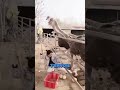 She Approaches The Ostrich To Do That 亞 She Approaches The Ostrich To Do That 亞