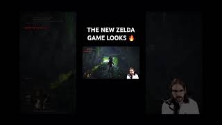 The new Zelda game looks crazy 🔥 #fromsoftware #zelda #thelegendofzelda