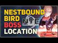 Nestbound Bird Boss Location Neverness to Everness (NTE)