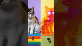 Dmediaphotoshop Who Wins