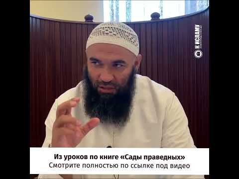 Выбери, какой росток поливать. Ринат Абу Мухаммад #Shorts