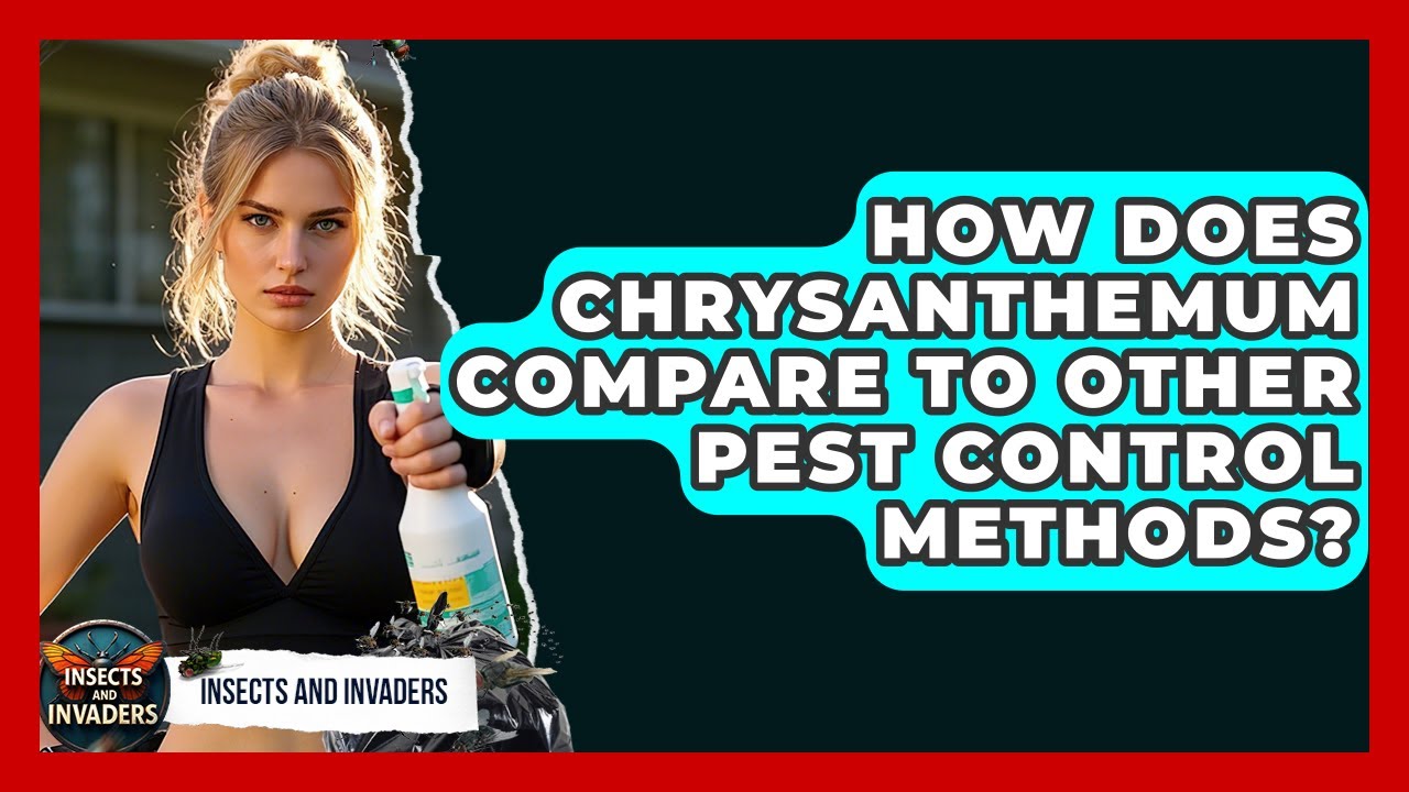 How Does Chrysanthemum Compare To Other Pest Control Methods? - Insects and Invaders