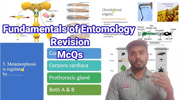 Revision of fundamentals of entomology | McQ | Entomology class| English