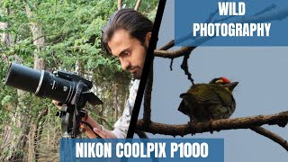 Nikon coolpix p1000 || Wild photography and videography || unexpected experience and view ||