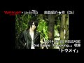 <びじゅなび × umbrella企画>柊(Gt)推し曲「トウメイ」