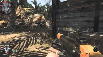 Black Ops Super Fast Flawless FFA  with FN FAL toad321