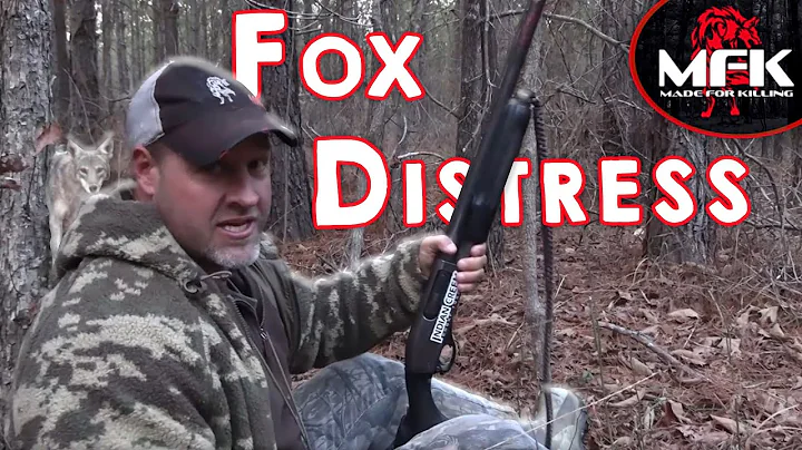 Fox Sounds & Coyotes