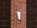 When Putting Up The Restaurant Sign Goes Wrong 😭🍕 | Aurelia Aylesbury #shorts