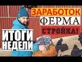 ИТОГИ НЕДЕЛИ!Заработок.Стройка.Ферма.Планы/Жизнь в деревне