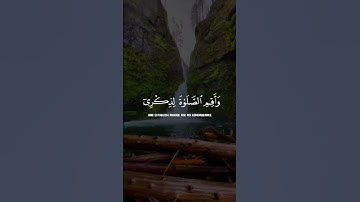 {وانا اخترتك فاستمع لما يوحى انني انا الله}🤍 القارئ احمد خضر 🥺