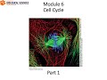 19 Cell Biology 6 Part 1