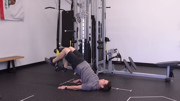 TRX Single Leg Hamstrings Curl - Exercise Demo