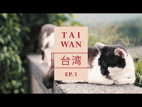 "หมู่บ้านแมว+โคมแดงจิ่วเฟิ่น"-Taiwan [อาสาพาไปไต้หวัน] EP.3