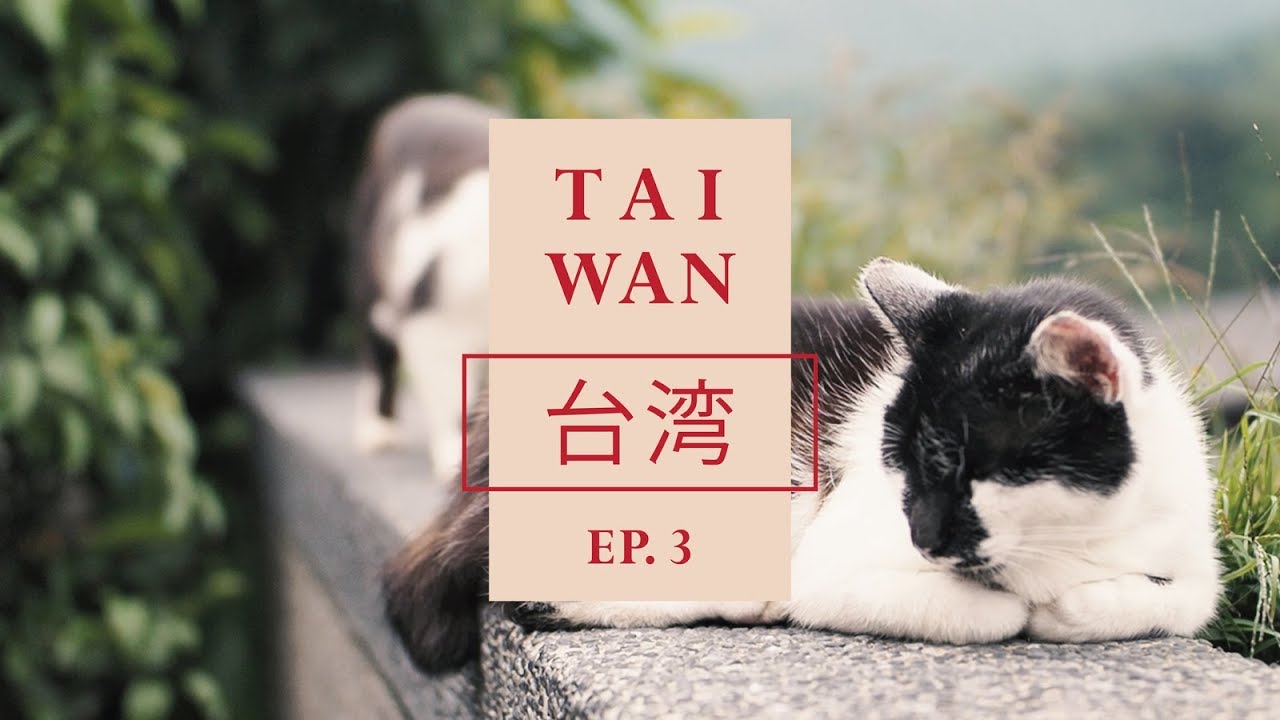 "หมู่บ้านแมว+โคมแดงจิ่วเฟิ่น"-Taiwan [อาสาพาไปไต้หวัน] EP.3