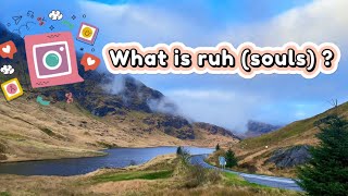 What is ruh (souls) ?