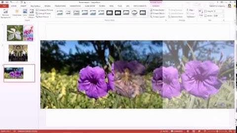 เทคนิคการแต่งภาพในการนำเสนอ ด้วย. Powerpoint