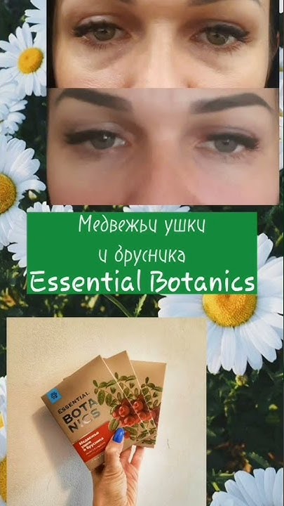 МЕДВЕЖЬИ УШКИ И БРУСНИКА. СИБИРСКОЕ ЗДОРОВЬЕ - YouTube