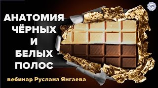 Анатомия чёрных и белых полос