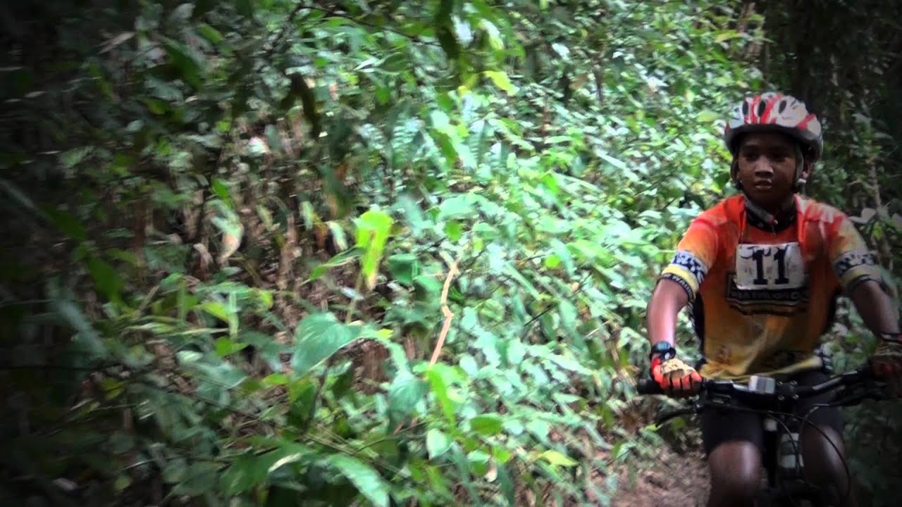 mike's bikes has mountain bikes