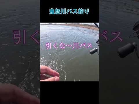 鬼怒川バス釣り #shorts #スモールマウスバス  #バス釣り