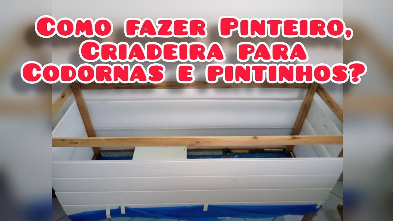 Como fazer Pinteiro, Criadeira para codornas e pintinhos 🐣🐤