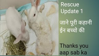 UPDATE 1 | जाने पूरी कहानी इन बच्चो की | RESCUE BUNNY | BINKY &amp; MILKY |MY EDEN