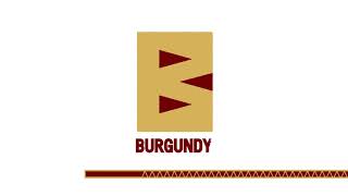 intro logo animation - burgundy