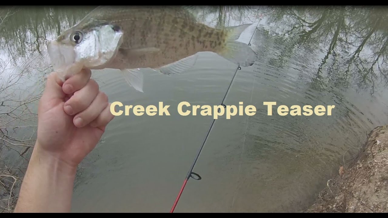 Creek Crappie Fishing Teaser YouTube
