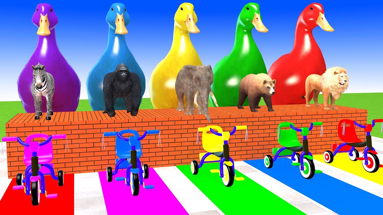 Long Slide Game With Elephant Zebra Gorilla Bear Lion Hippopotamus 3d Animal Game Funny 3d Animals