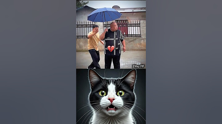 i am confused 😅😅#cat #meme #dance #trending