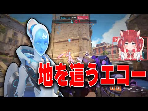 Karubi wants to try playing Echo