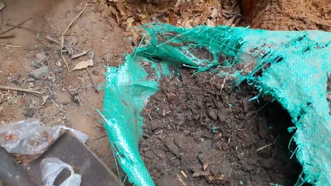 #Sida Loo Diyaariyo Nafaqada beeraha #Macalin #Bocoreey