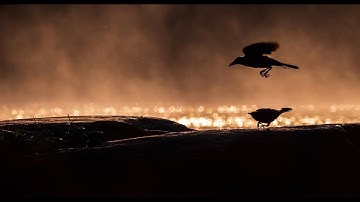 Working with a Jealous Mind with Jonathan Foust