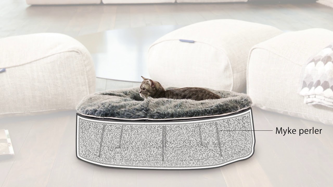 Katteseng fra Ambient Lounge