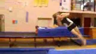 michelle lewis 1 1/2 twisting back layout