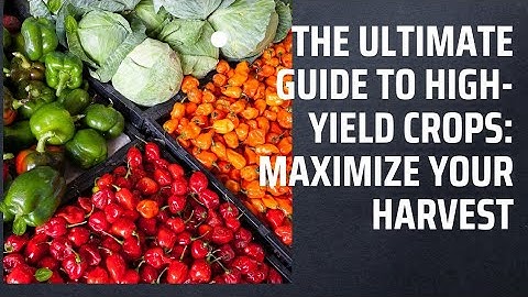 Maximize Your Harvest: The Ultimate Guide to High-Yield Crops