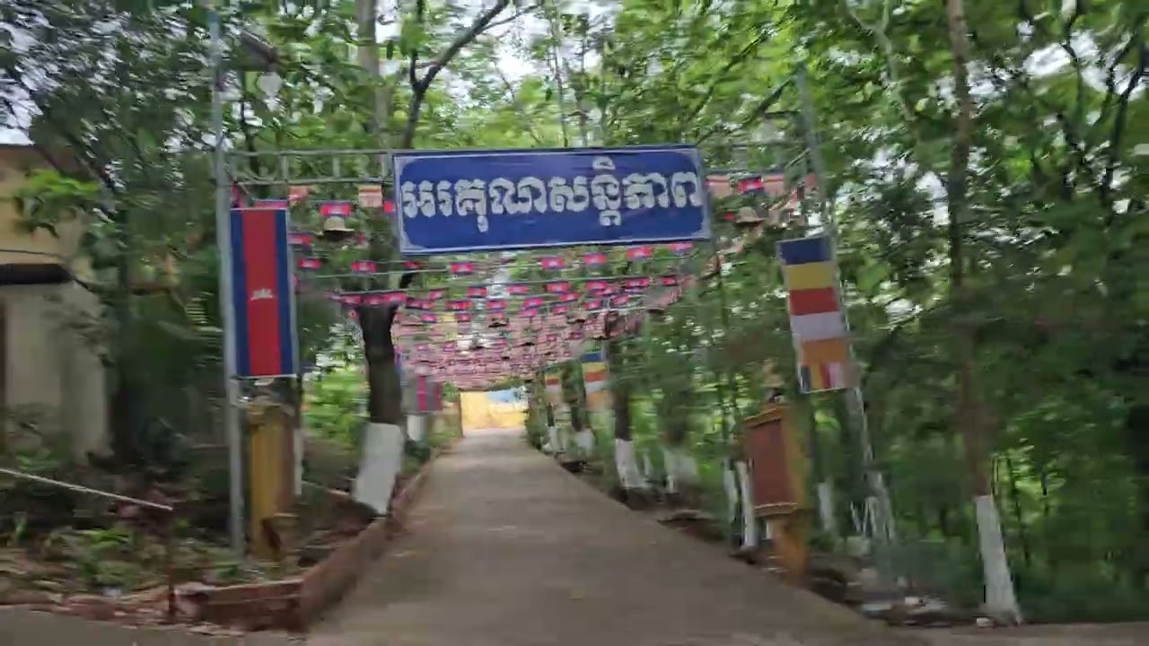 Along the way to the top of Yat Mountain ⛰️