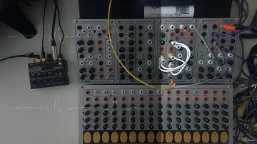 SERGE CARNIVORE COMPARATOR