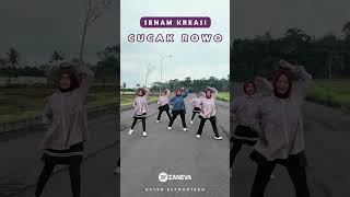 Download Lagu Senam Kreasi \ MP3