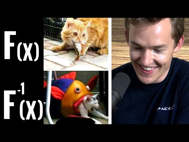 Thumbnail for Math Meme Review with Grant Sanderson (3Blue1Brown)