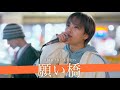 【歌詞付】この歌声にハマる人続出!?依存度MAXのポップチューンユニット 願い橋 / Skip the Chips【新宿路上ライブ-23.10.28】