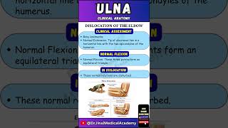 🦴 Ulna Clinical Anatomy in 60 Seconds! #MedicalShorts