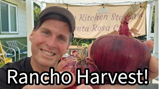 What Worked, What Didnt, On the Rancho this Season