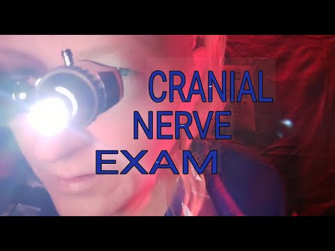 ASMR CRANIAL NERVE EXAM with Diagnosis(Doctor Role-play)[REAL MEDICAL TOOLS]