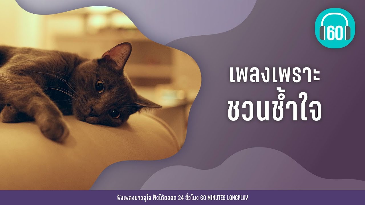 เพลงเพราะ ชวนช้ำใจ [ภาพลวงตา,รักเธอให้น้อยลง,ทิ้งรักลงแม่น้ำ]【LONGPLAY】
