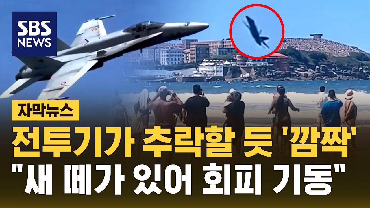 전투기가 해변 사람들을 향해 '깜짝'…